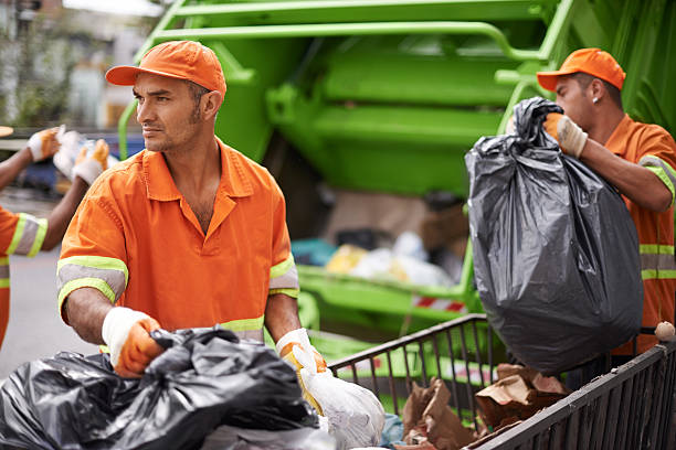 Best Professional Junk Removal  in Jonesboro, IL